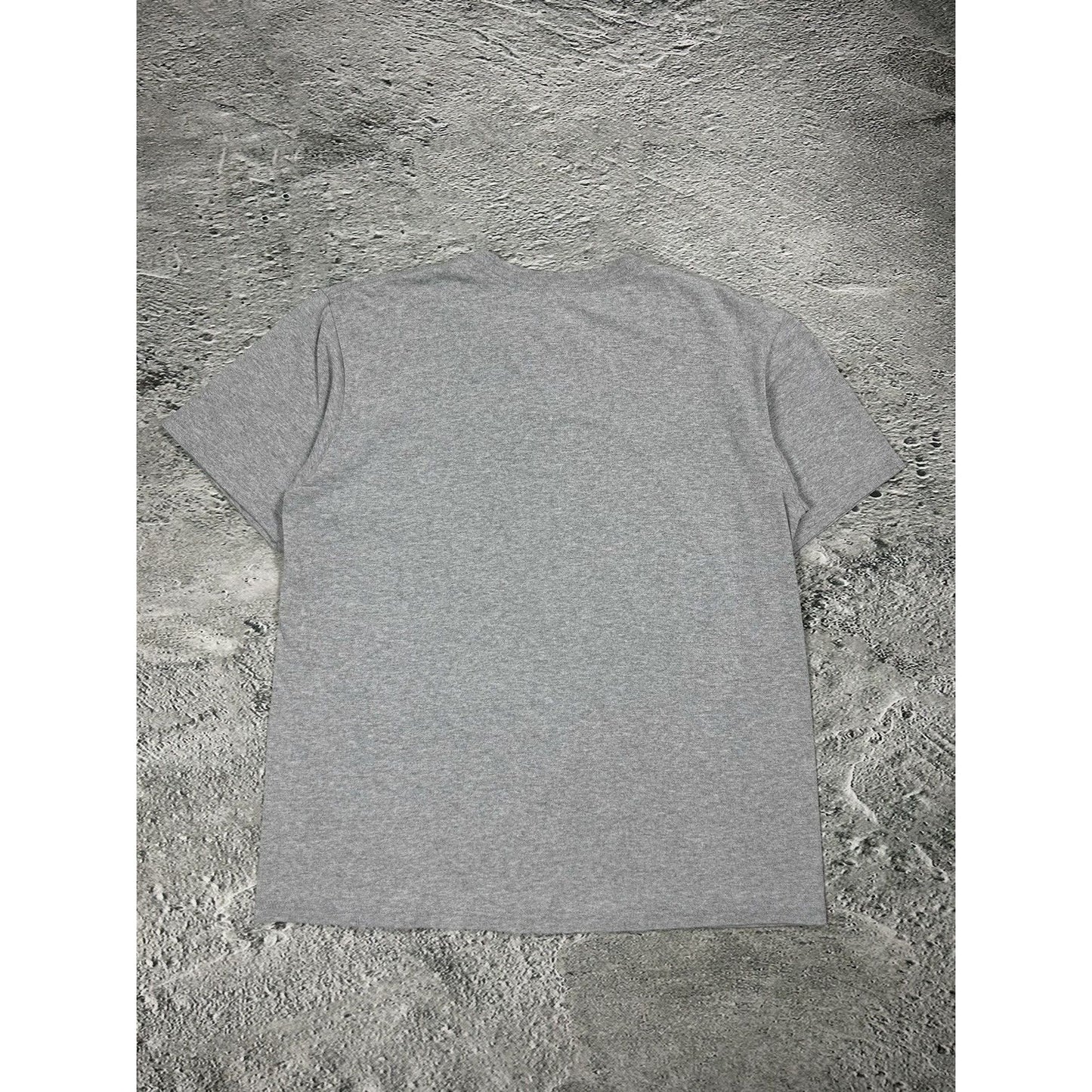 Supreme “Fuck With Your Head” T-shirt Grey Tee Young Czuux