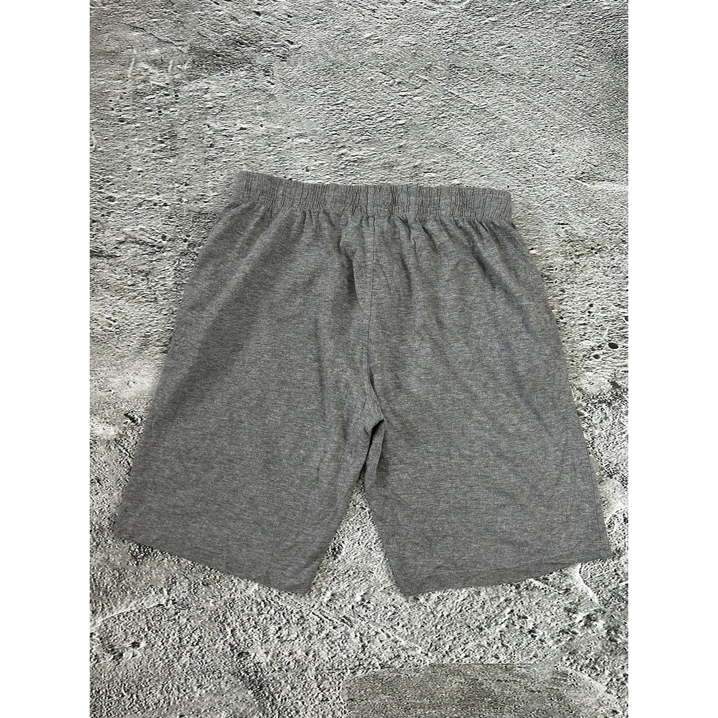 Ecko Unltd vintage shorts big logo Y2K sweatshorts