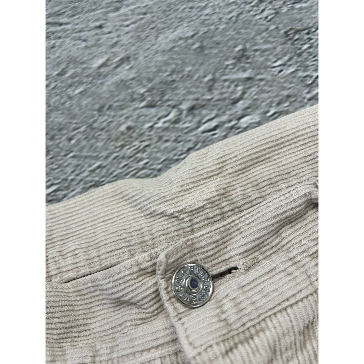 RARE! Evisu corduroy pants vintage cords beige seagulls