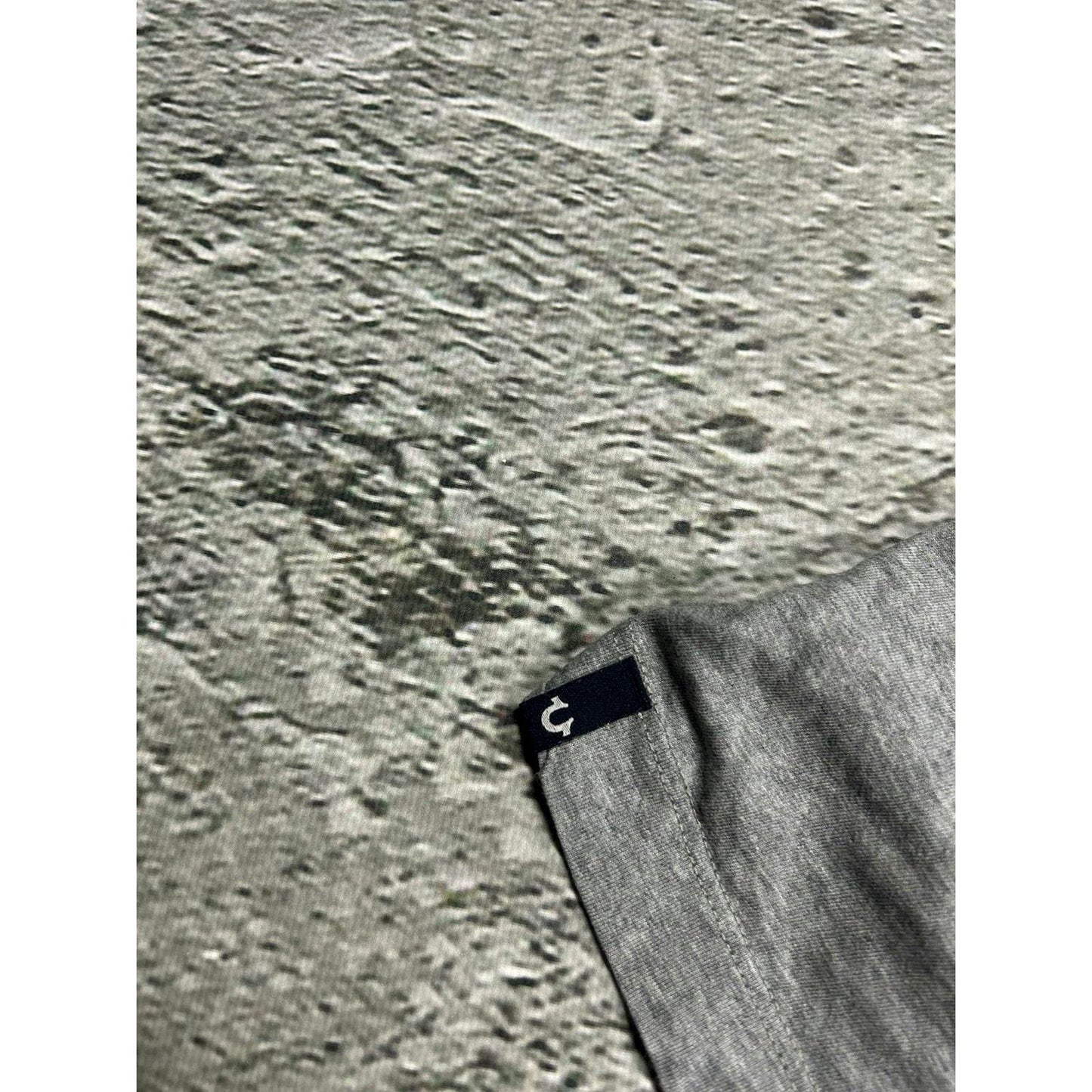 True Religion grey T-shirt small logo