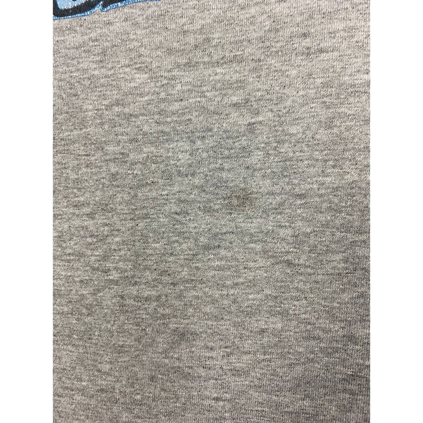 Blind Skateboards Vintage T-shirt Center logo alien grey