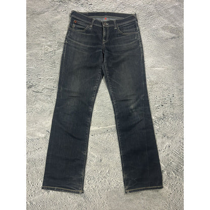 Evisu x Puma jeans vintage grey bootcut mint seagulls