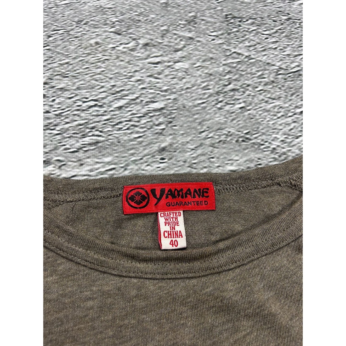 Evisu T-shirt big logo seagull brown Y2K