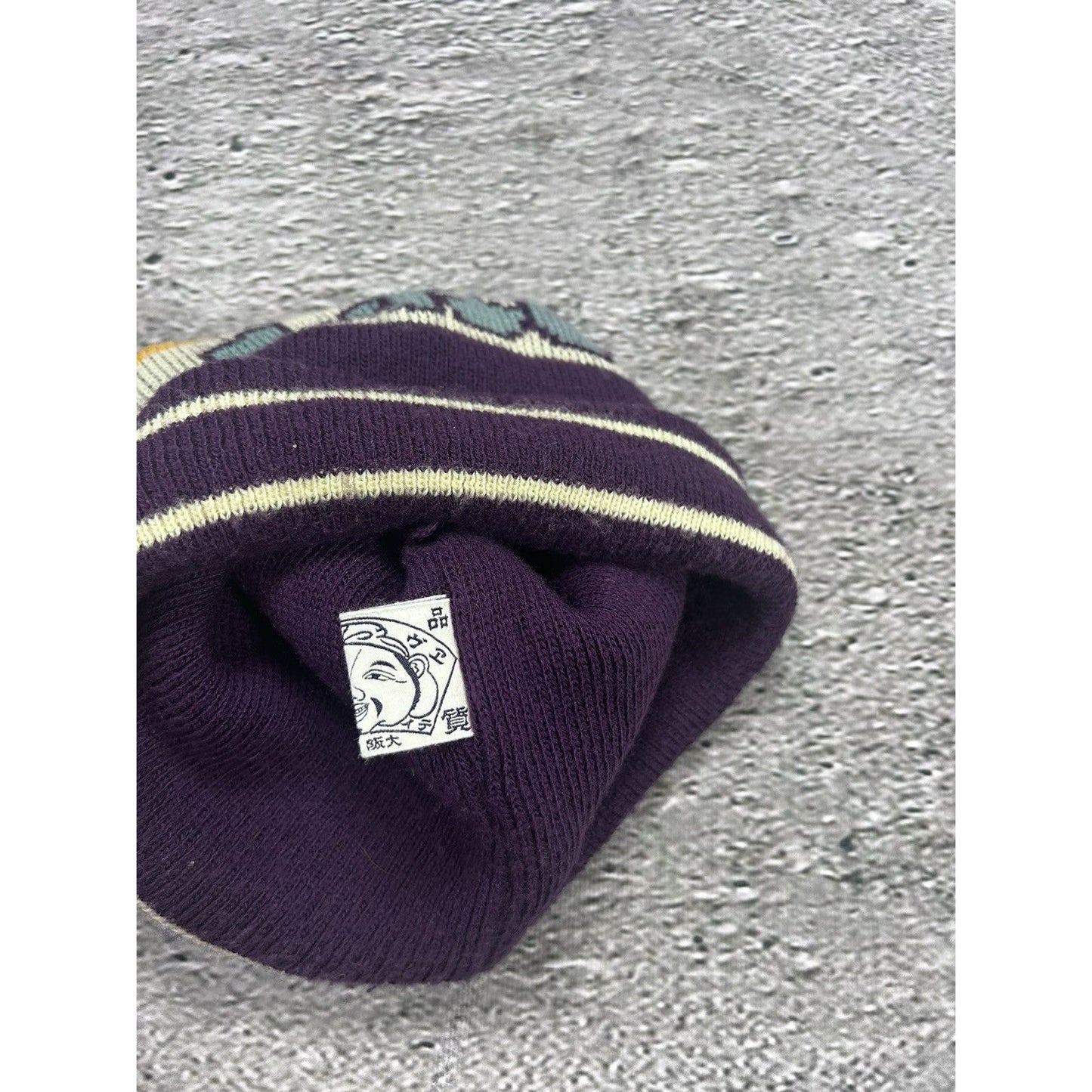 Evisu beanie Y2K seagulls purple big logo