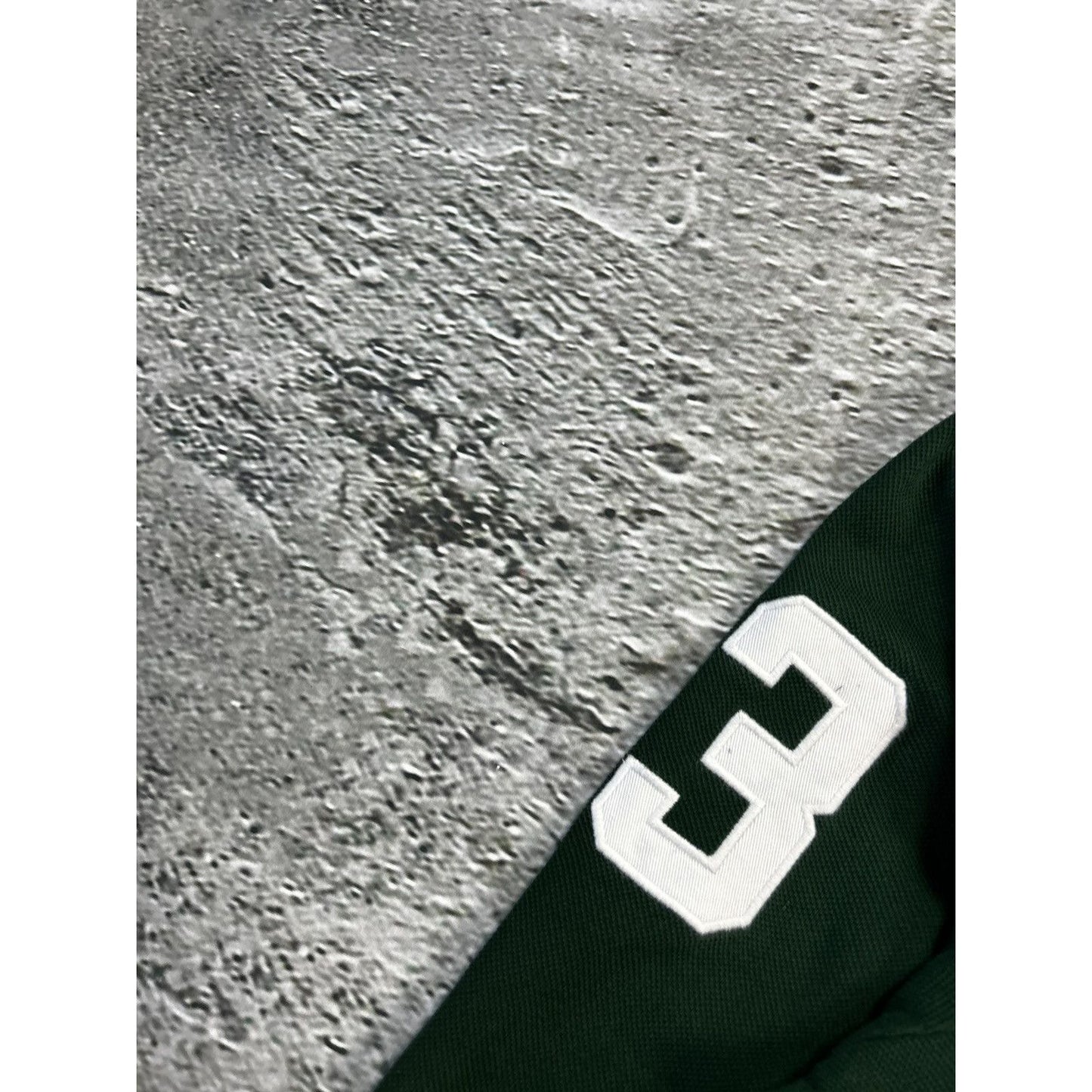 Chief Keef Polo Ralph Lauren Germany big pony longsleeve green