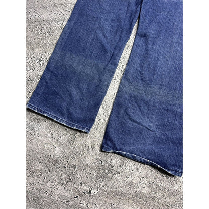 Akademiks Jeans vintage Y2K blue baggy