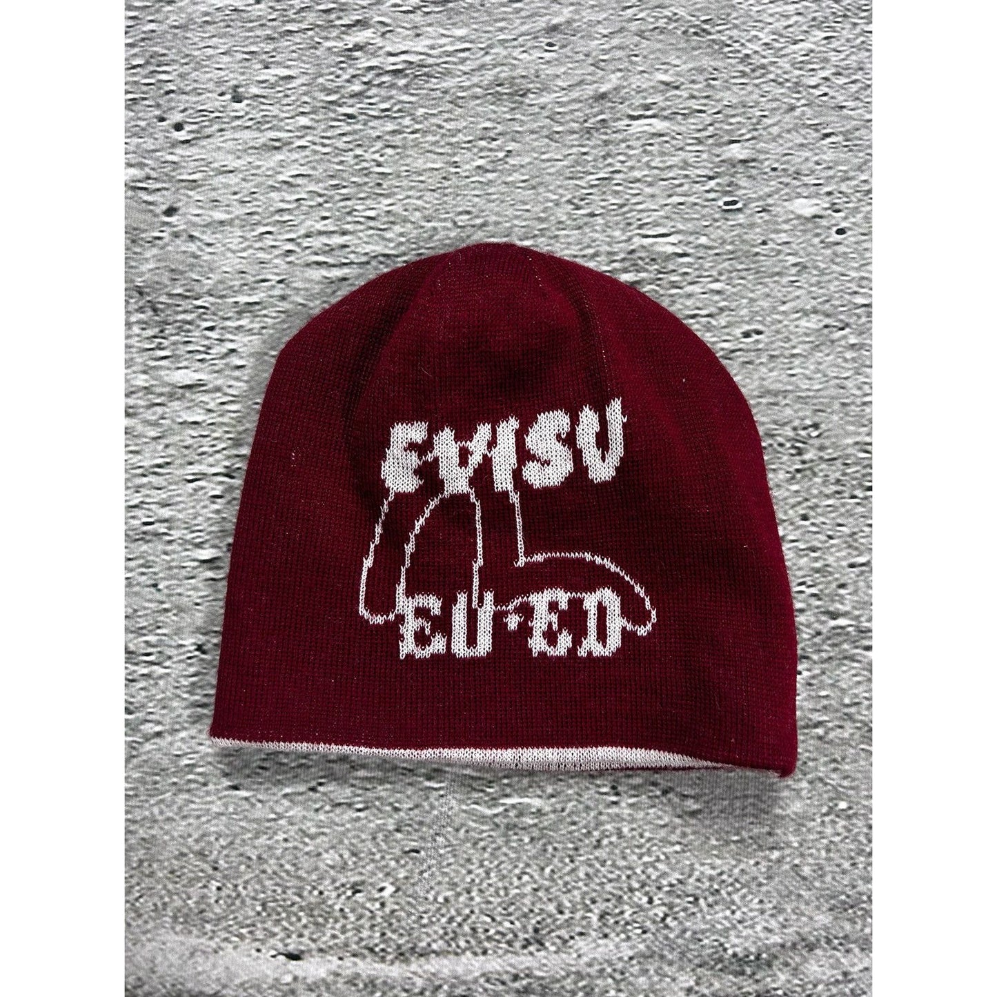 Evisu beanie Y2K seagulls red big logo face