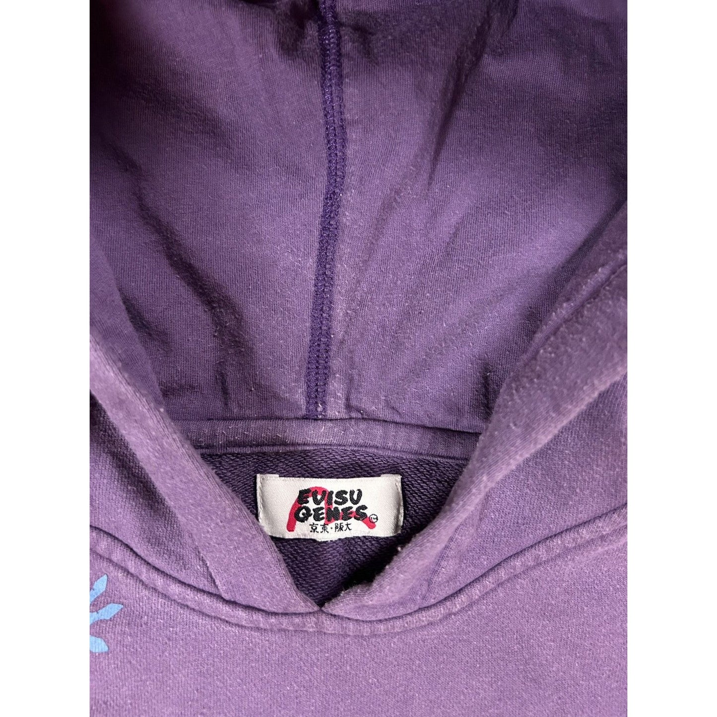 Evisu hoodie purple vintage big logo seagull stars Y2K