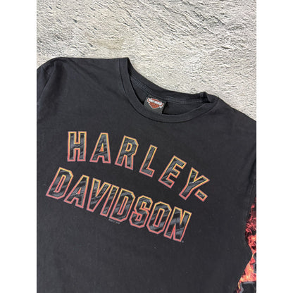 Harley Davidson vintage motorcycle Tuscon Arizona