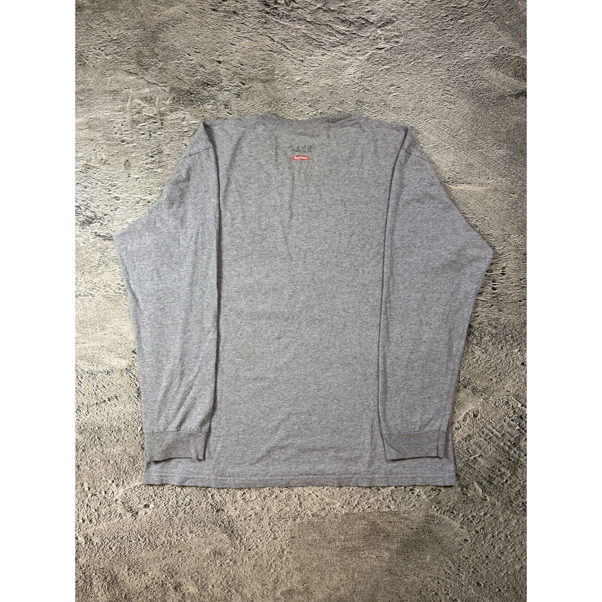 Supreme longsleeve Mike Hill Snake Trap gray SS17