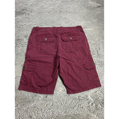 Arc'teryx shorts purple Y2K hiking trekking