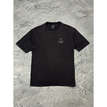 Palace x Arc’teryx T-shirt Big logo brown