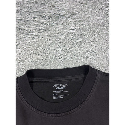 Palace x Arc’teryx T-shirt Big logo brown