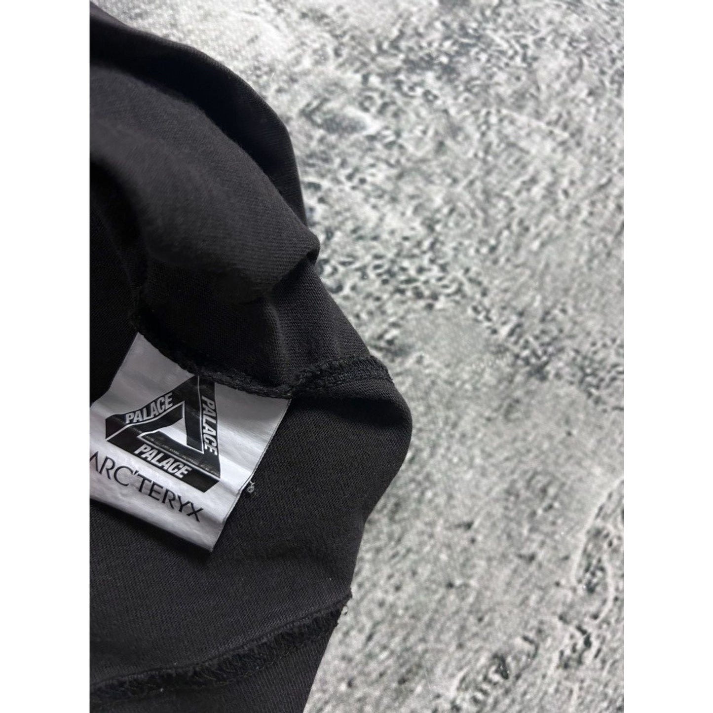 Palace x Arc’teryx T-shirt Big logo brown