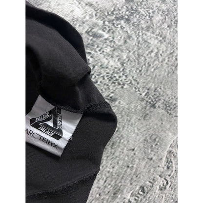 Palace x Arc’teryx T-shirt Big logo brown