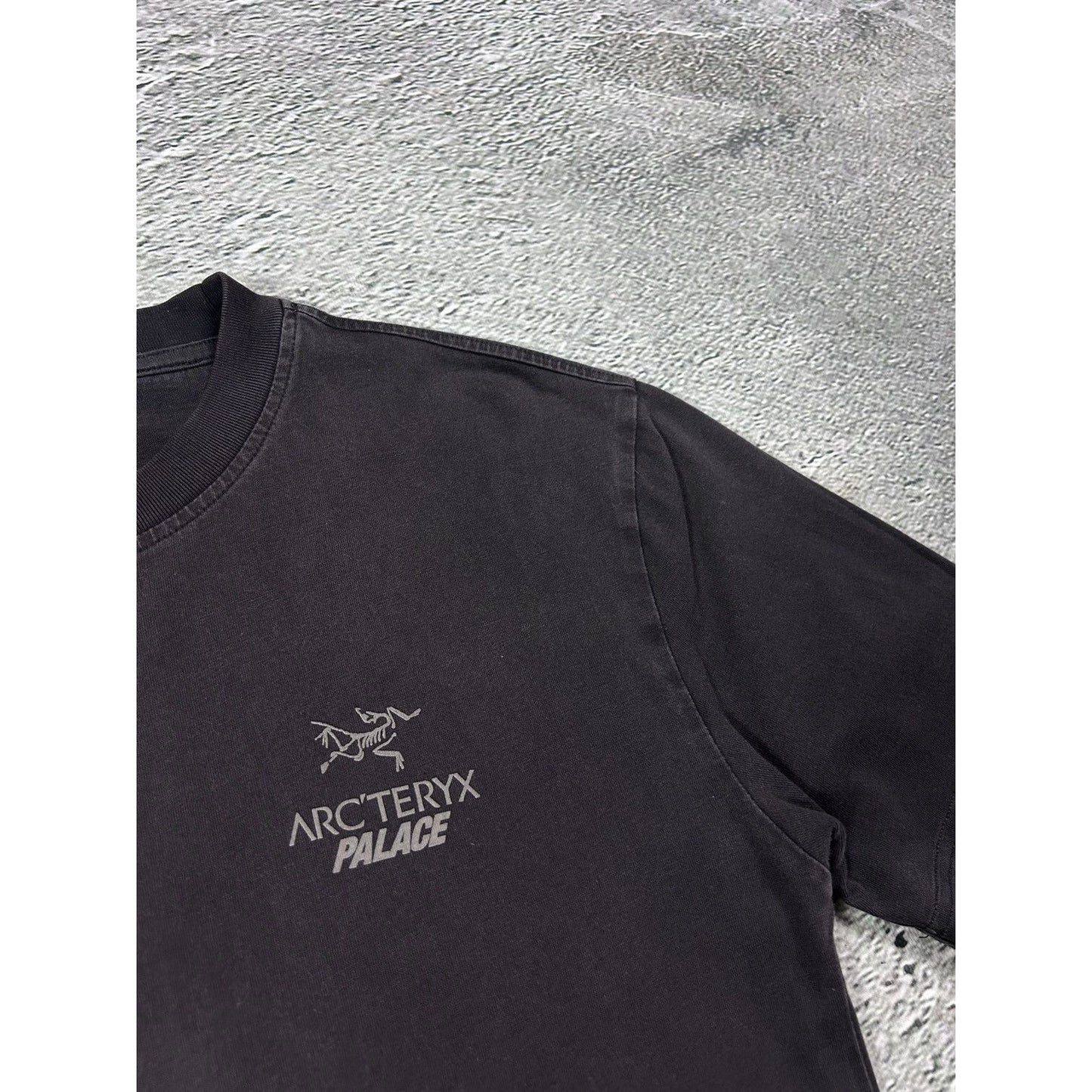 Palace x Arc’teryx T-shirt Big logo brown