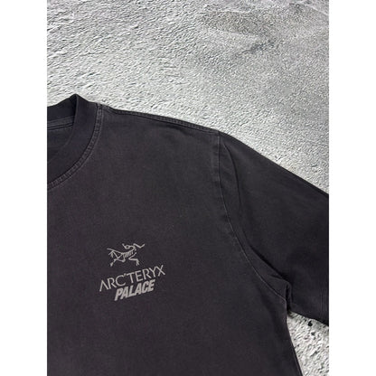 Palace x Arc’teryx T-shirt Big logo brown