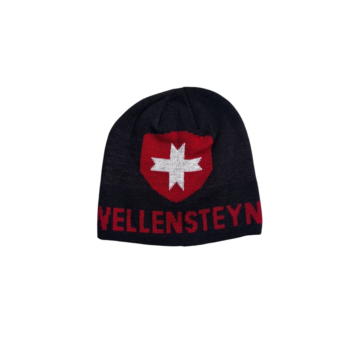 Wellensteyn beanie grey Y2K