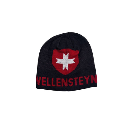 Wellensteyn beanie grey Y2K