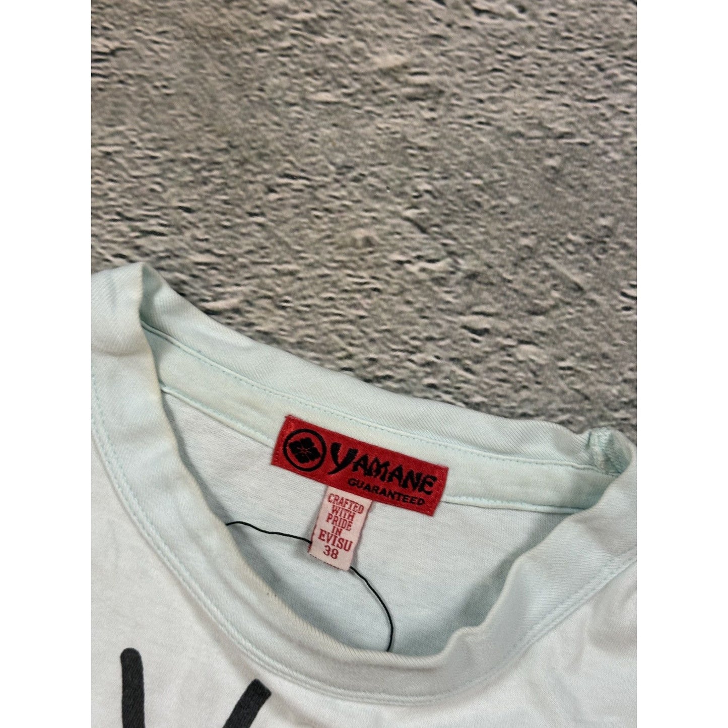 Evisu Yamane T-shirt big logo baby blue Origin? Imagine