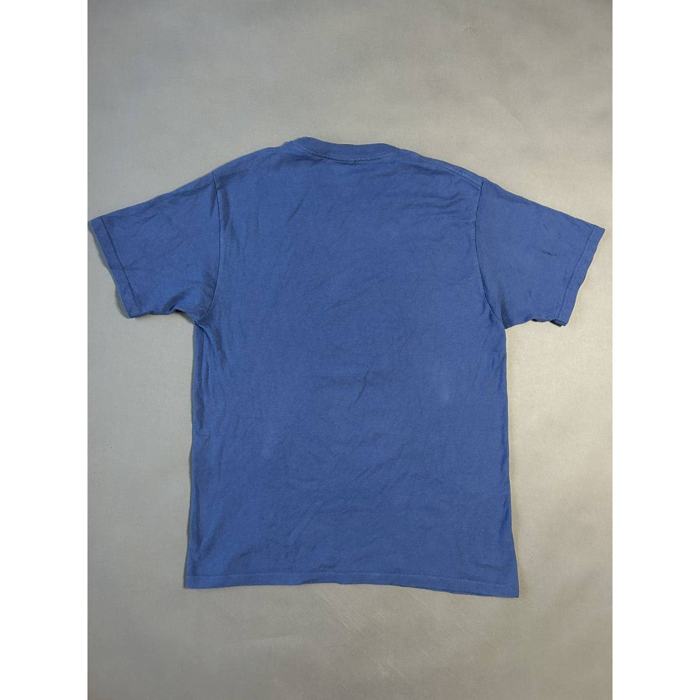 Stussy t-shirt big logo blue vintage