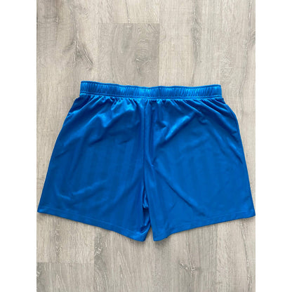 Nike vintage blue shorts track pant small swoosh